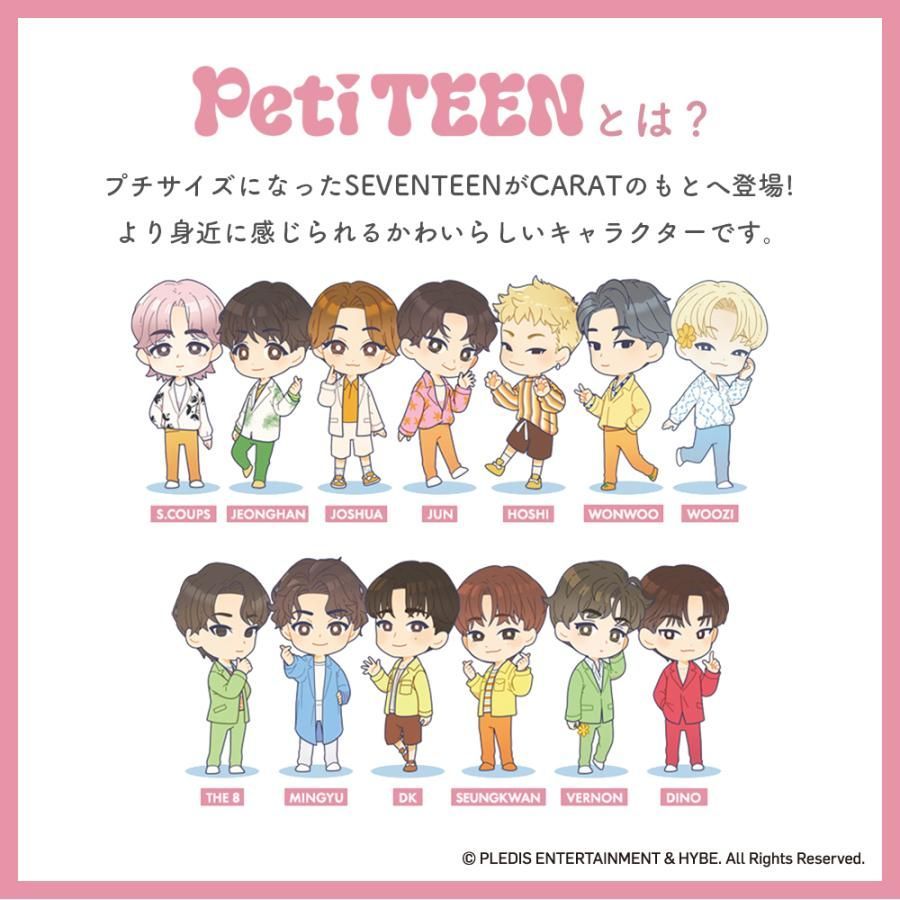 5種セット】SEVENTEEN PetiTEEN WOOZI ウジ 公式品 推し活 グッズ