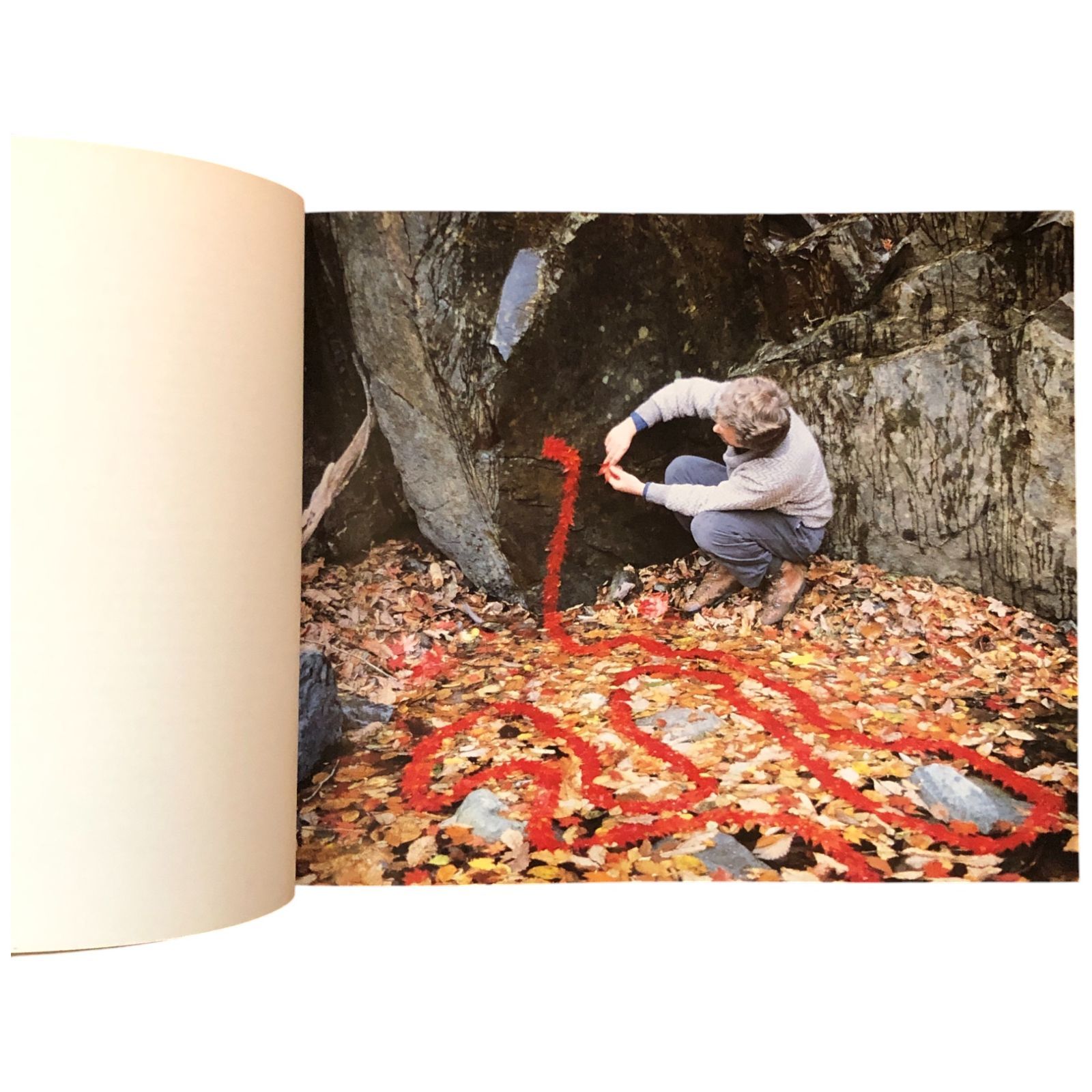 STONE Andy Goldsworthy/アンディ・ゴールズワージー 作品集 ANDY