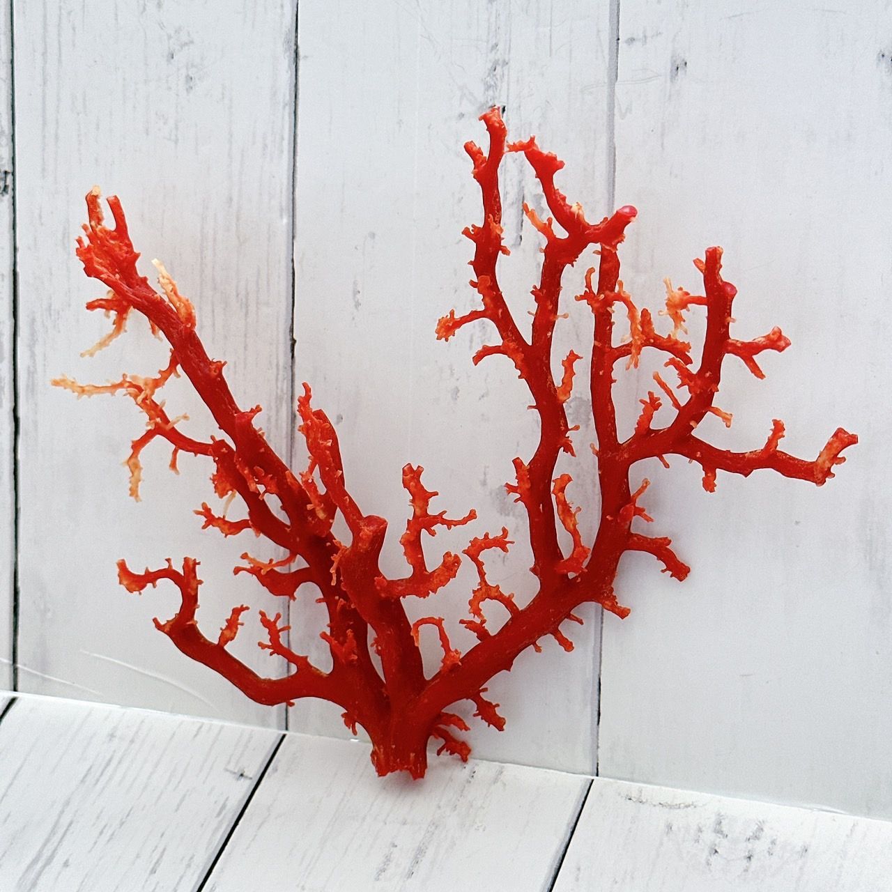 珊瑚 原木 置物 珊瑚原木 ピンク珊瑚 サンゴ置物 コーラル オブジェ