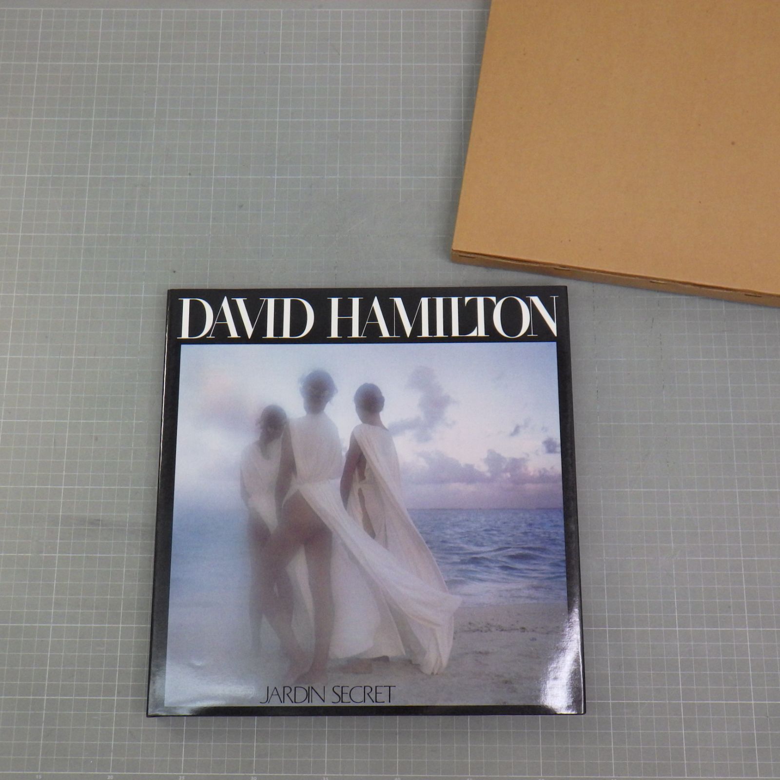 DAVID HAMILTON JARDIN SECRET/1981年発行/デビッド・ハミルトン