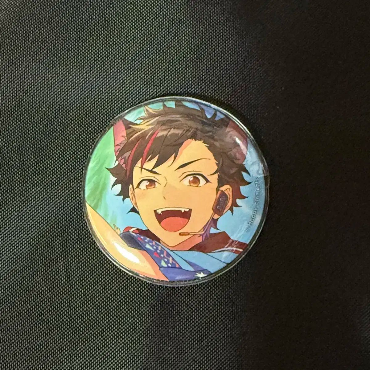 鉄虎 フィーチャスカウト缶バッジ casual 80個セット 鉄虎 フィーチャ