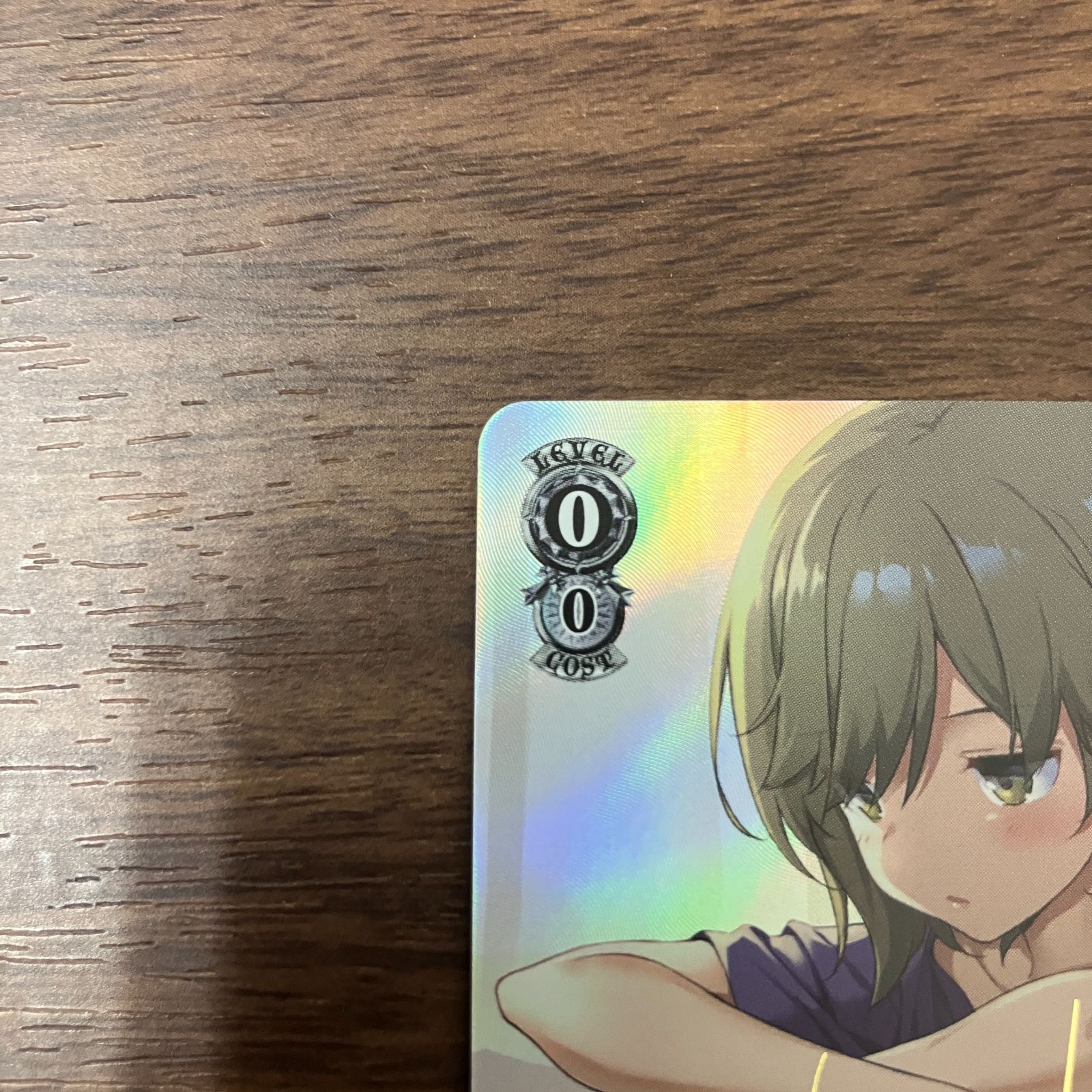 ぼっち系オタク少女 いさな SP サイン 角川スニーカー文庫 ヴァイス