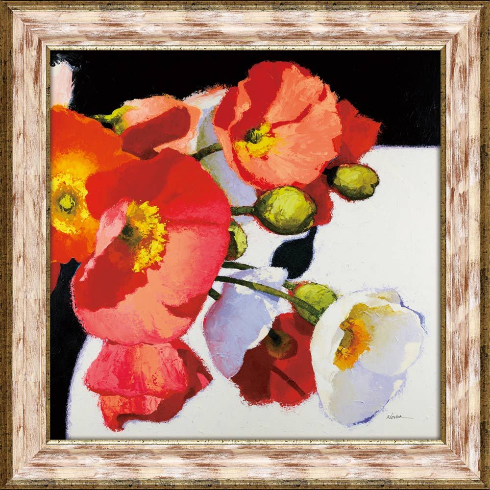 絵画 シャーリーノヴァック 花フラワーインテリア壁掛け3Lサイズ 絵画