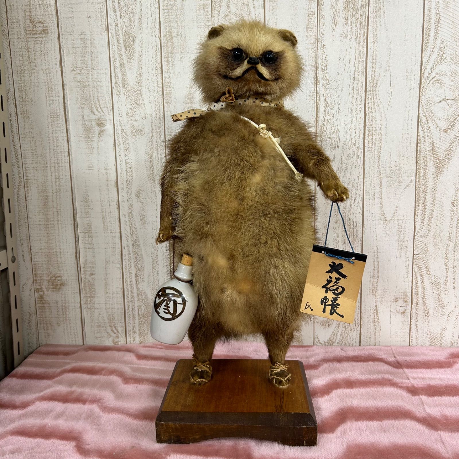 秀ちゃん タヌキ剥製 木製台座付き タヌキの剥製 木製台座付き たぬき