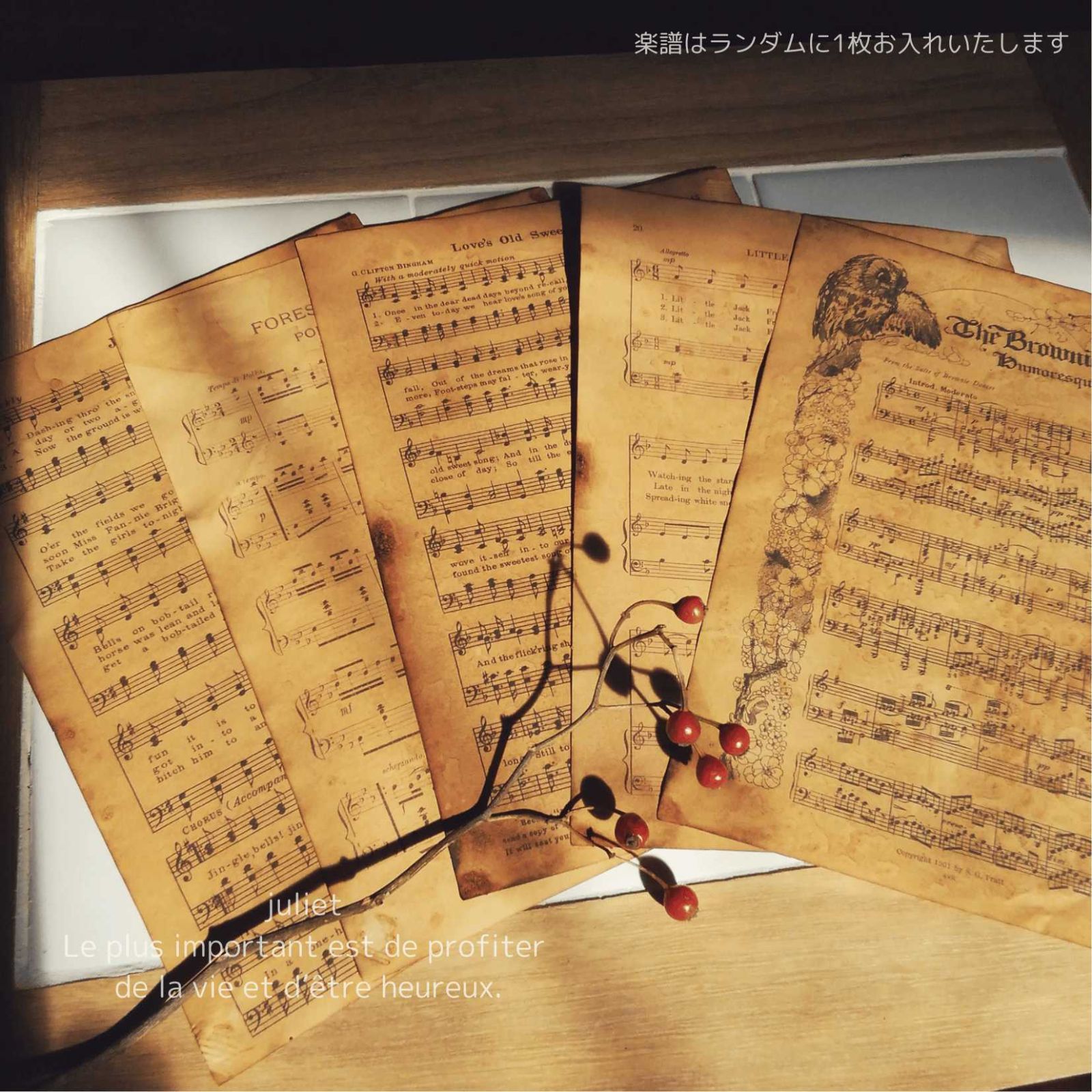 珈琲染めペーパー フランス語本切離し 英字楽譜ランダム 15枚