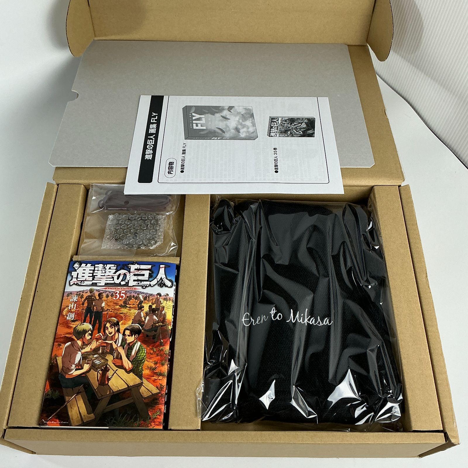 進撃の巨人 画集 FLY 諫山創 進撃の巨人 35巻 超精巧複製原画 ミカサの