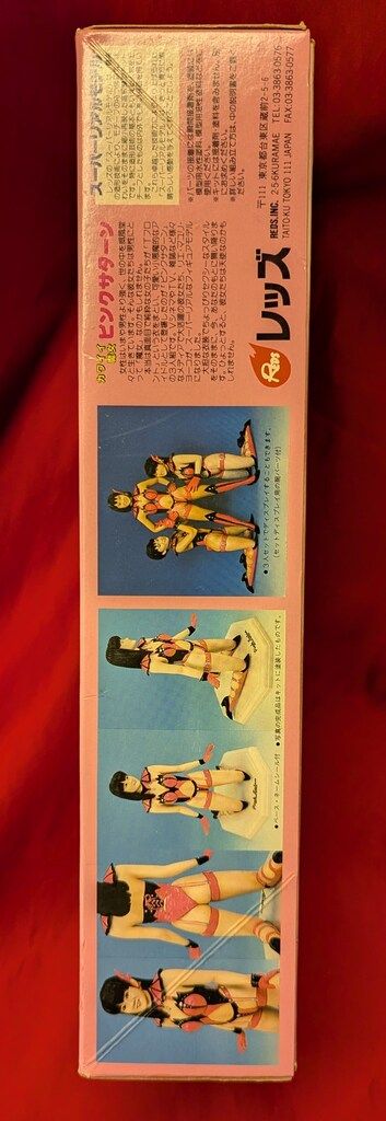 REDS 1/6 アイドルフィギュアコレクション/スーパーリアルモデル 三井