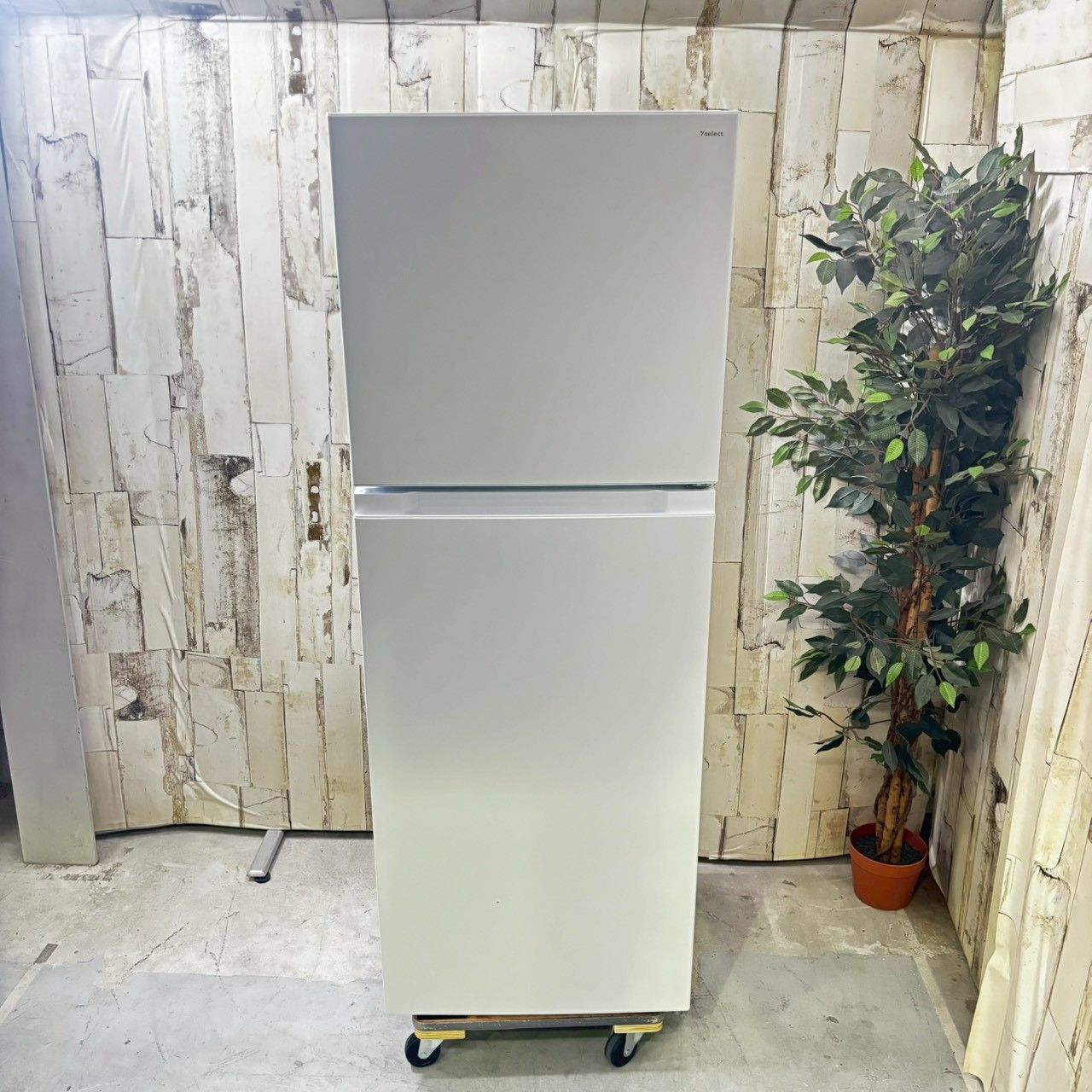 2022年製】 Y select ヤマダオリジナル YRZ-F23K ノンフロン冷凍冷蔵庫