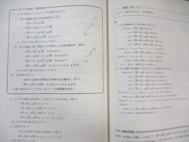 駿台テキスト 数学ZB 前期・後期 駿台 国公立大学理系コース 数学XB⁄ZB