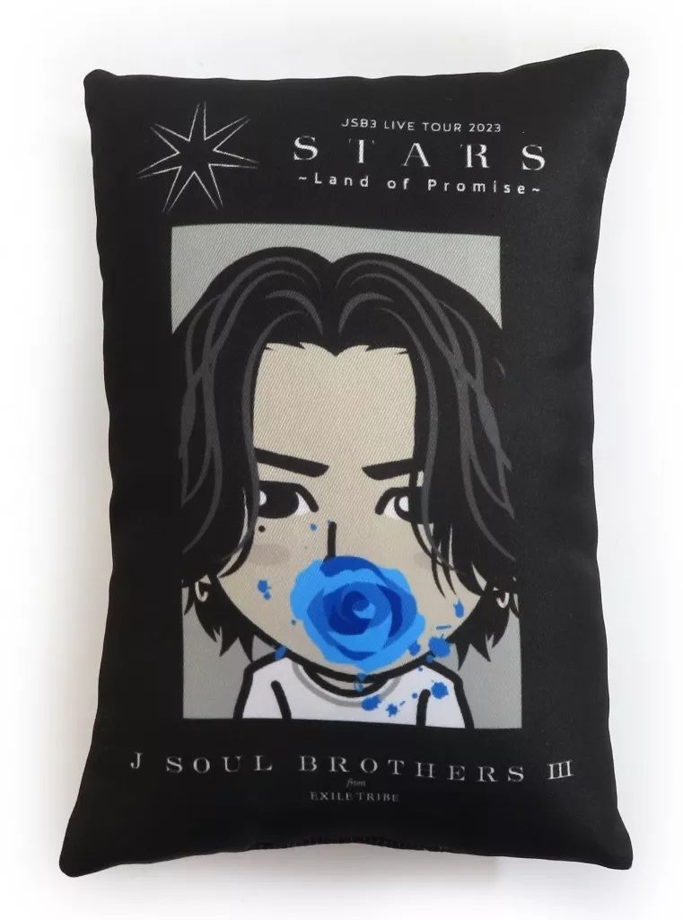 登坂広臣クッション 三代目 Ywa レア 居酒屋 登坂広臣 クッション