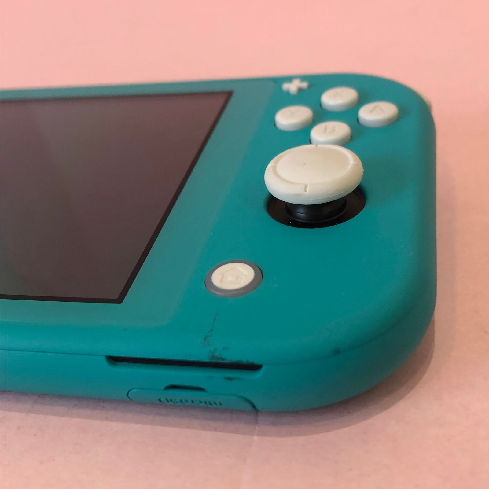Nintendo Switch Light ターコイズ 本体ジャンク Nintendo Switch Lite