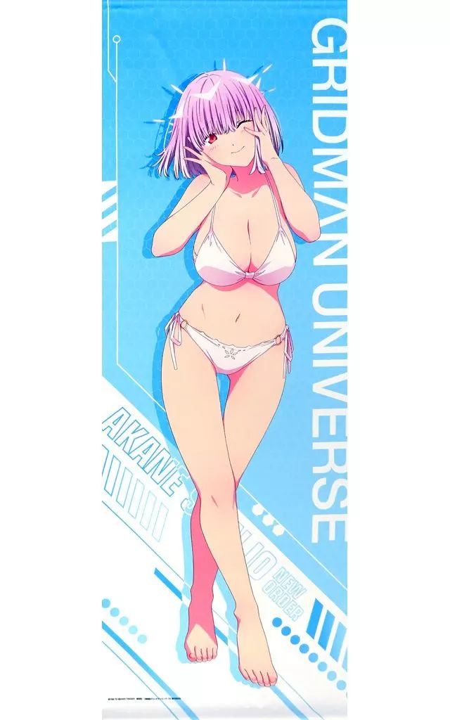 中古】タペストリー 新条アカネ ロングタペストリー 「どこプラ×くじ