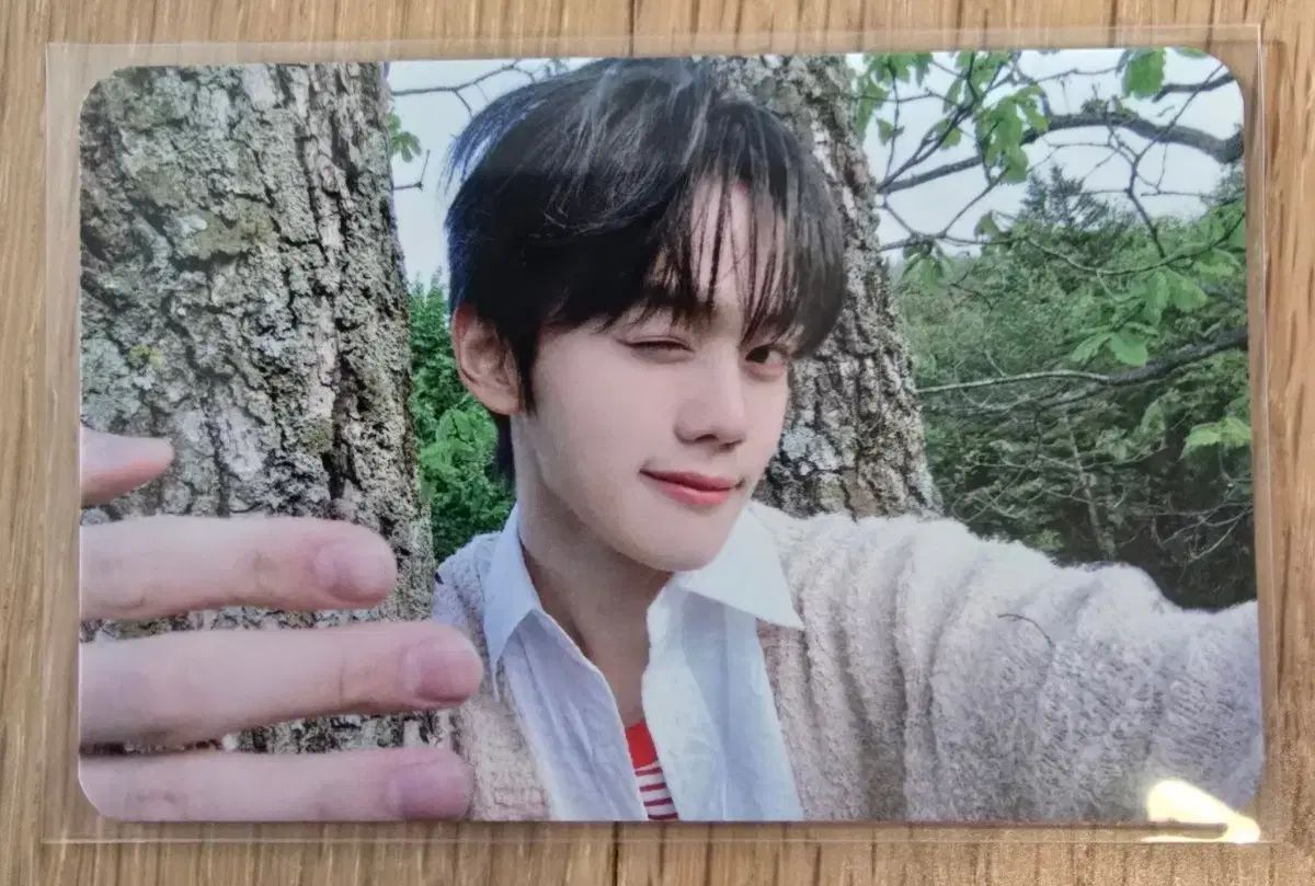 ZB1 キムギュビン サノク トレカ 公開放送 ZB1 キムギュビン テレ