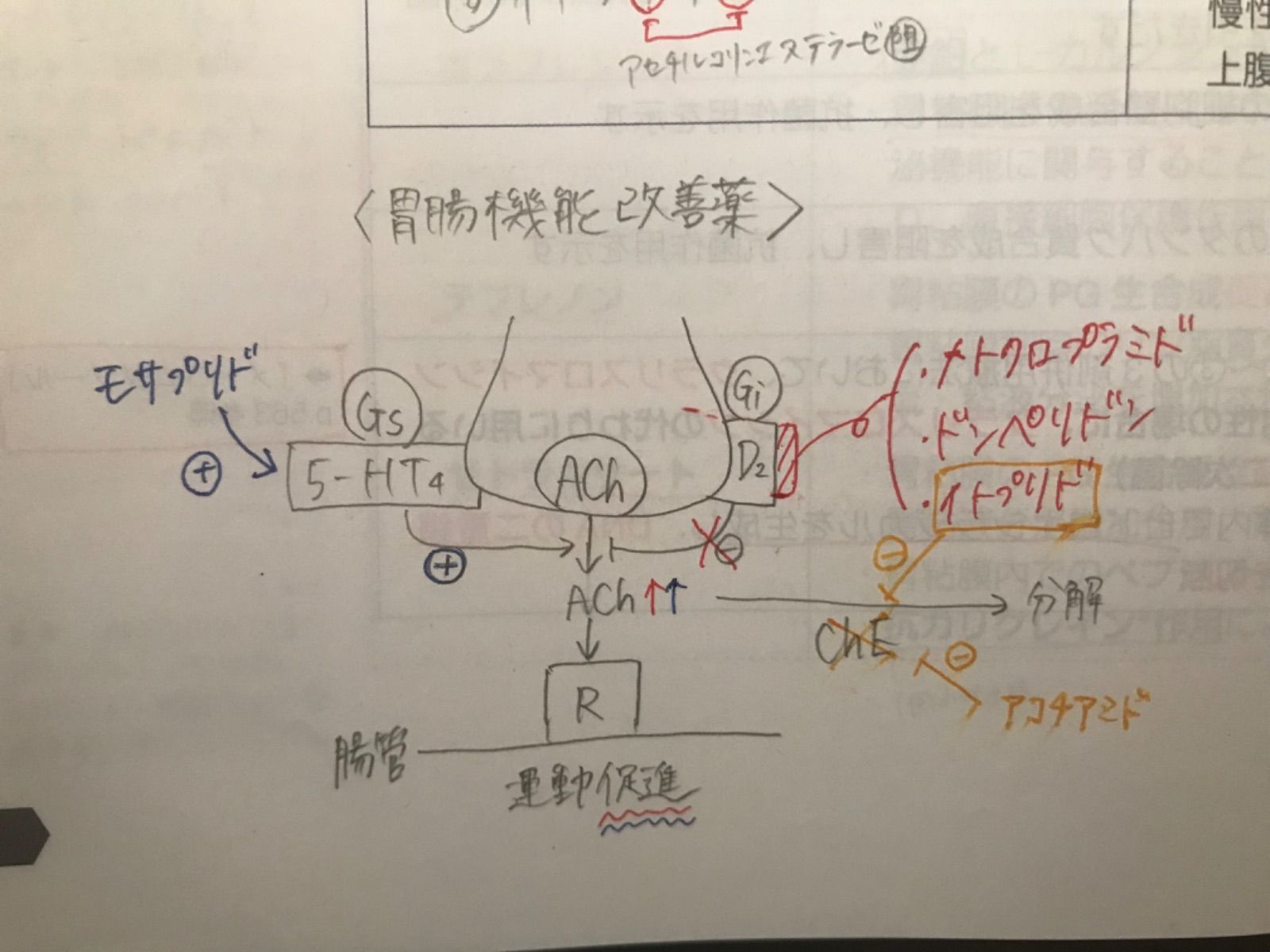 青本2022年版 - メルカリ
