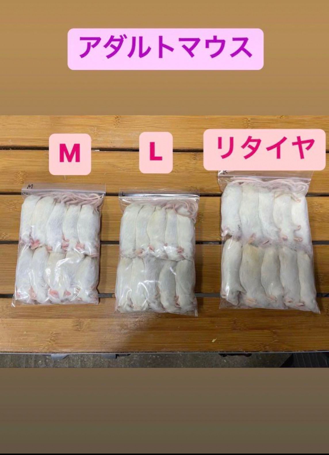 送料無料 国産冷凍マウス リタイア100匹冷凍 マウス 100匹の通販 冷凍