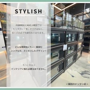 Red in フォルマックス爬虫類ケージトカゲ飼育場 Lサイズ (90cm