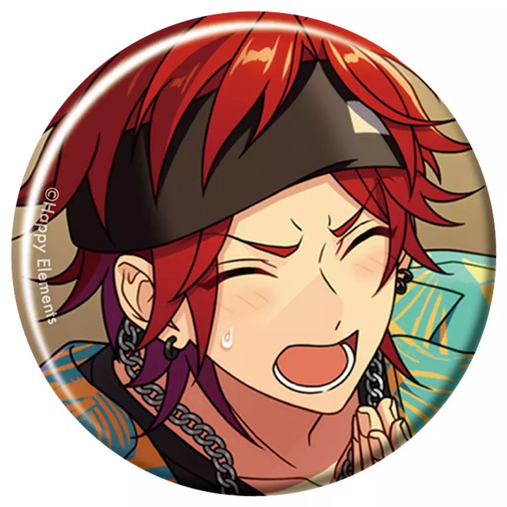 天城燐音 あんさんぶるスターズ フィーチャー缶バッジ あんスタ 35個