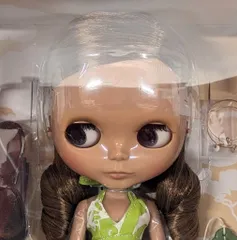 2026年最新】ブライス パラダイスガールの人気アイテム - メルカリ