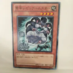 2026年最新】素早いビッグハムスターの人気アイテム - メルカリ