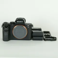2026年最新】sony α7 ii ILCE-7M2の人気アイテム - メルカリ