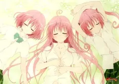 2026年最新】toloveる タペストリーの人気アイテム - メルカリ