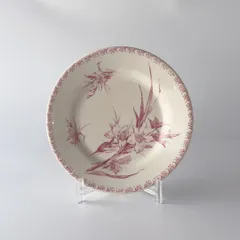 2026年最新】植物図鑑 アンティークの人気アイテム - メルカリ