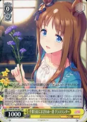 ヴァイスシュヴァルツ グラスワンダー SP 2枚 2025年最新