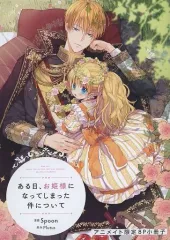 2026年最新】ある日、お姫様になってしまった件について アニメイトの