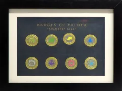 2026年最新】ポケモン バッジ チャンピオンロードの人気アイテム