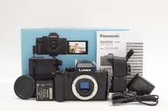 2026年最新】lumix g100の人気アイテム - メルカリ