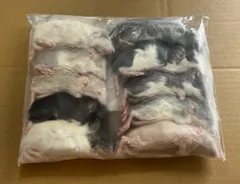 2026年最新】冷凍ラットの人気アイテム - メルカリ