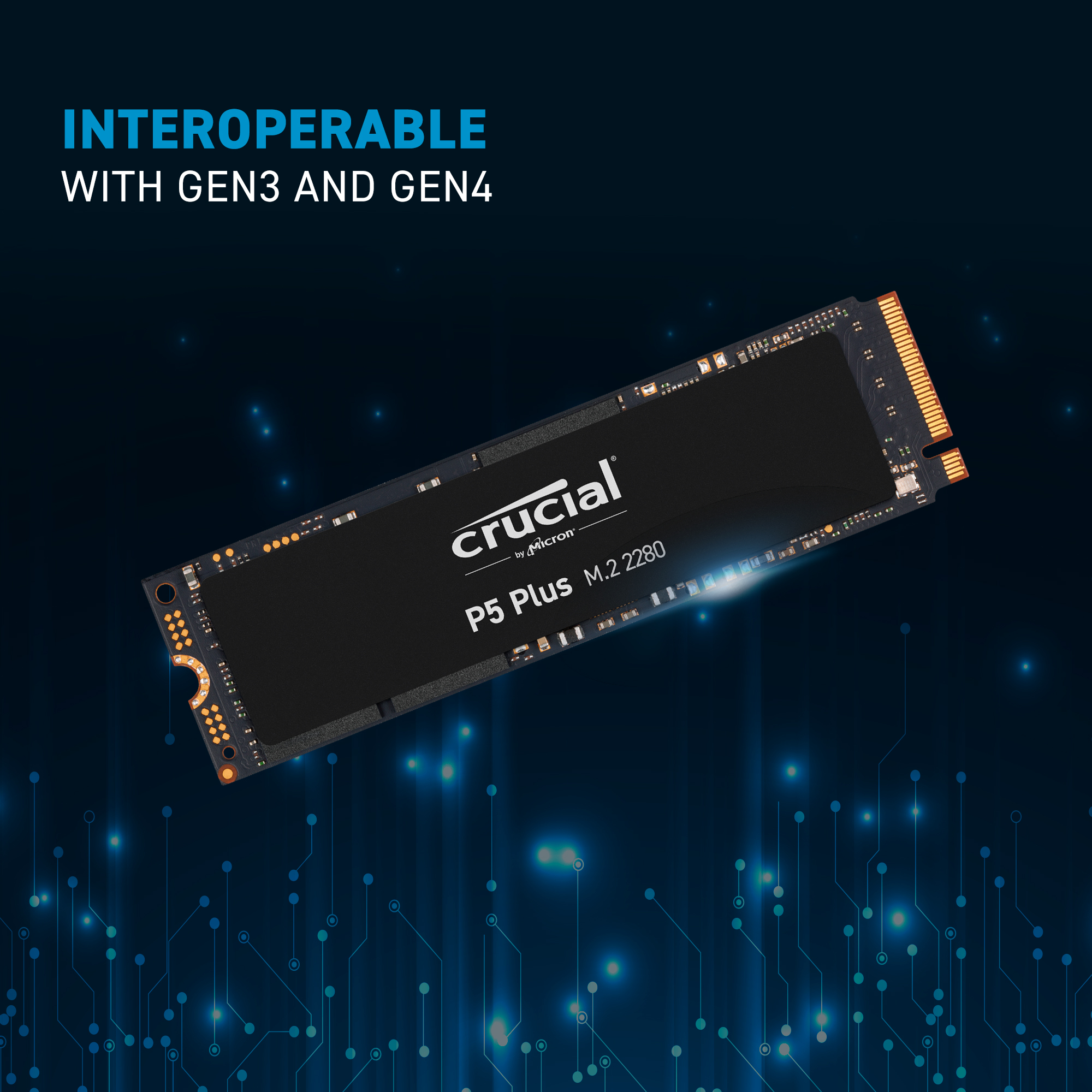 Crucial P5 Plus 2TB PCIe M.2 2280SS SSD | CT2000P5PSSD8 | Crucial JP