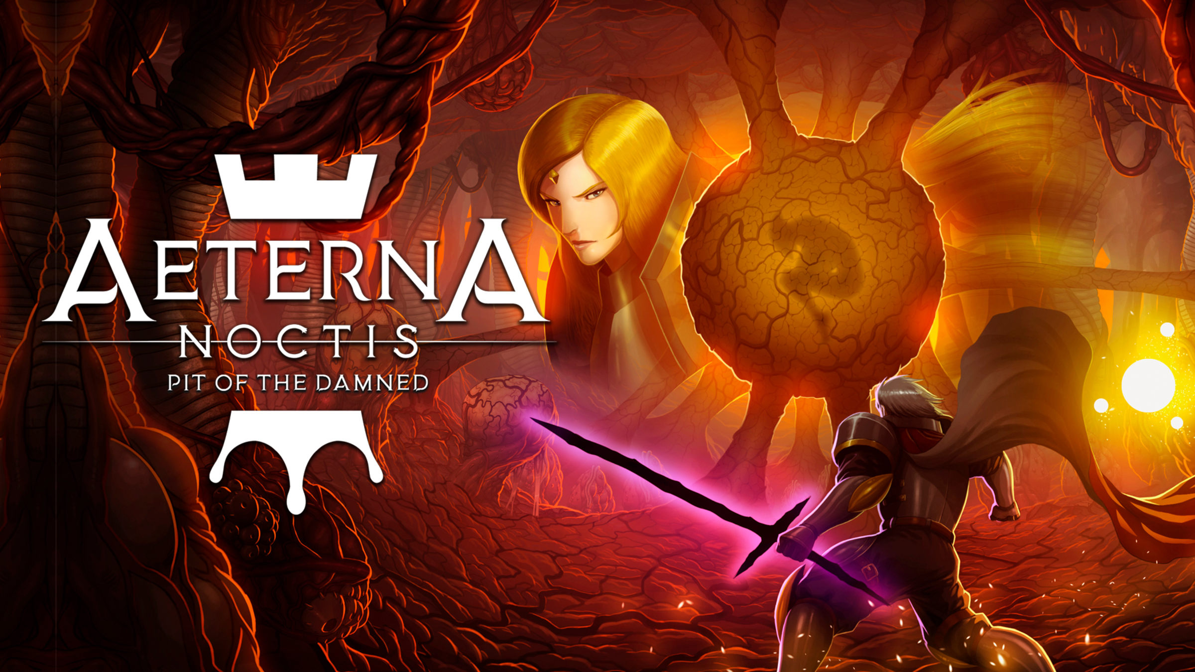 新品未開封 エテルナ・ノクティス Aeterna switch Noctis