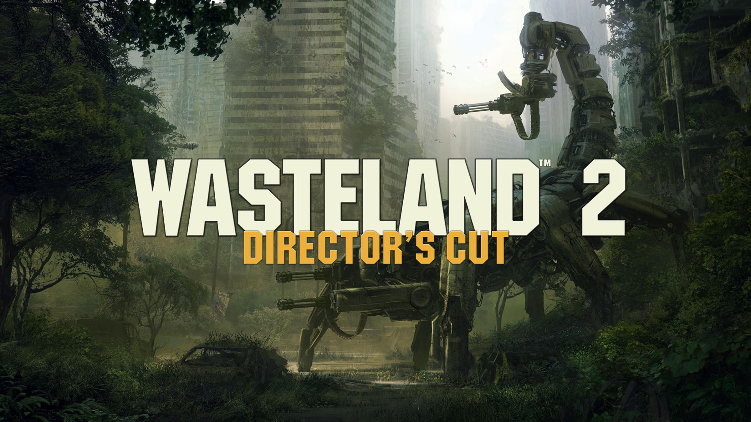 Wasteland 2: Director's Cut for Nintendo Switch - Nintendo