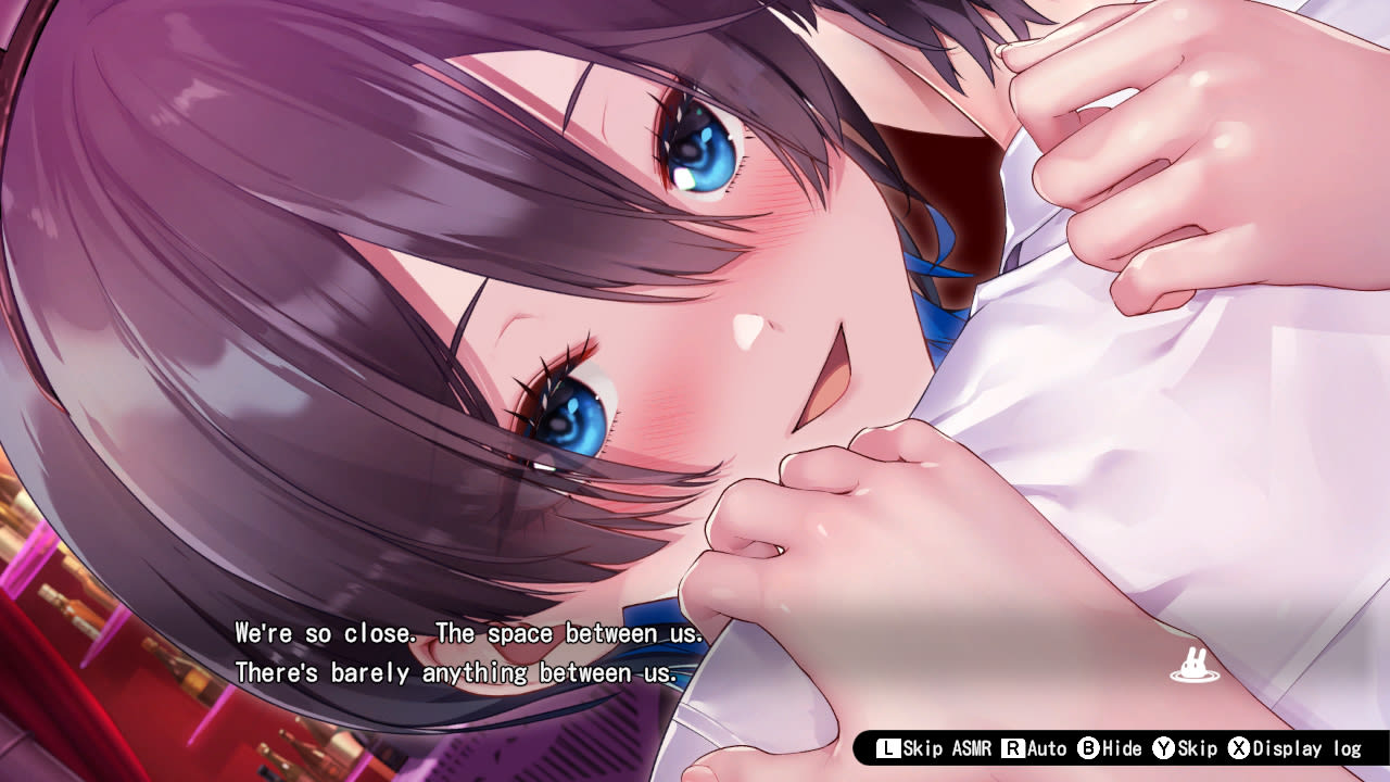 】バニーガーデン 【 GARDEN Nintendo Switch BUNNY