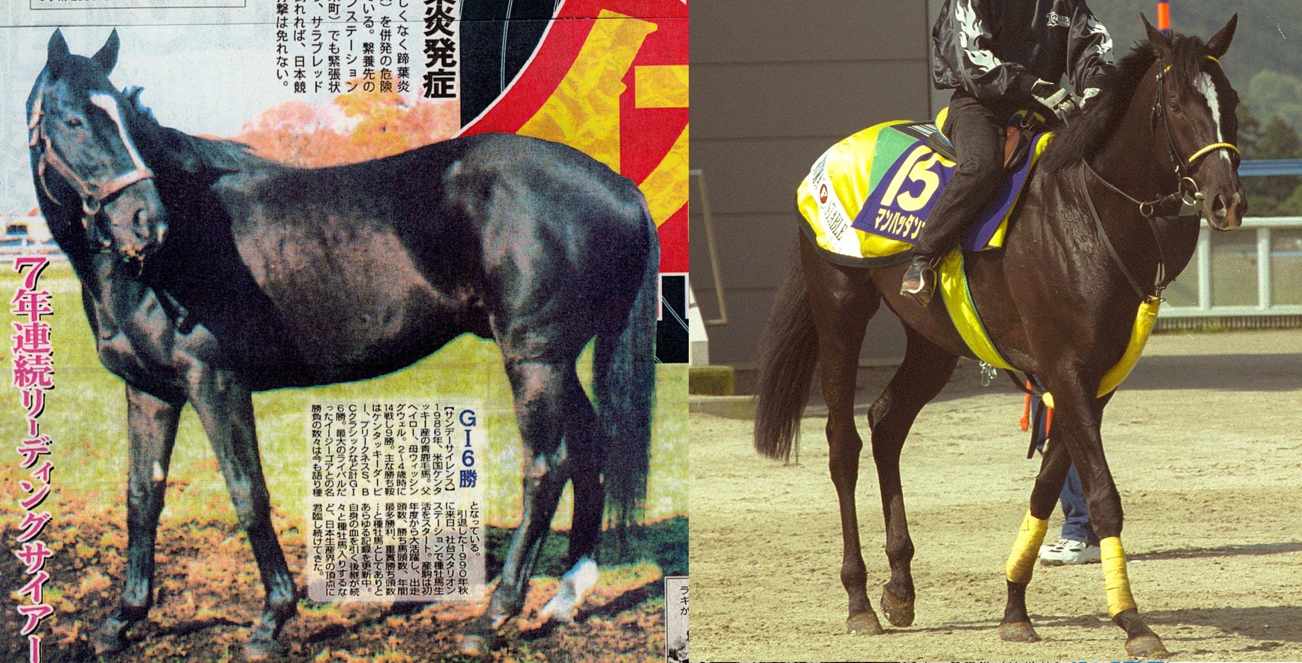 現地単勝マンハッタンカフェ 天皇賞春2002年100円 現地単勝