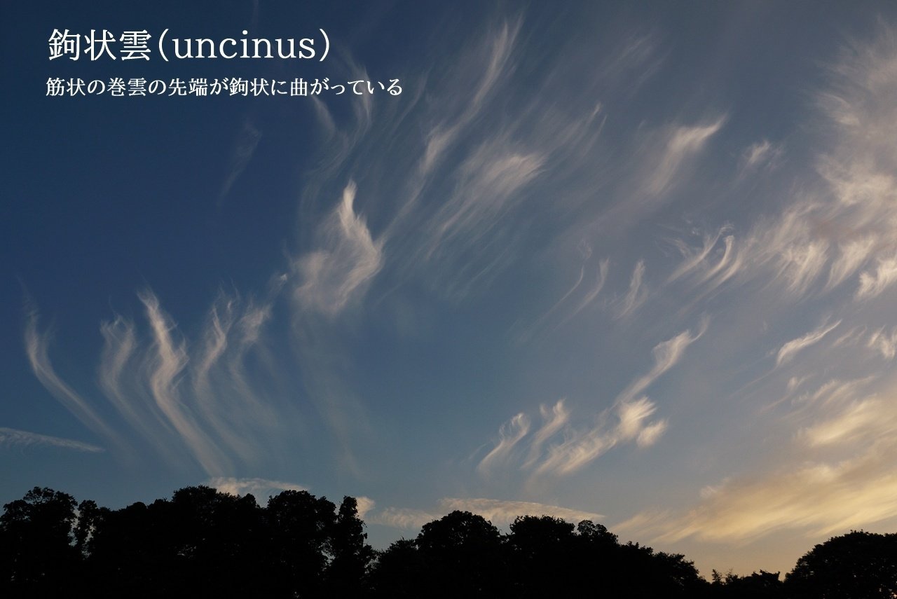 撮影者のための雲図鑑～種｜青木豊｜写真家・ストームチェイサー