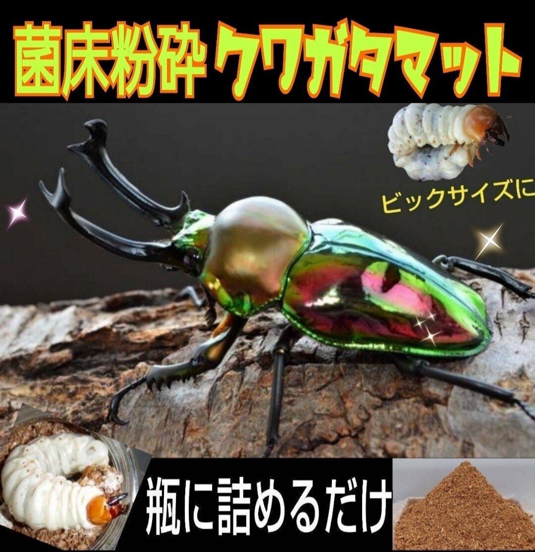 ヒマラヤひらたけ発酵マット｜iketeru_1130