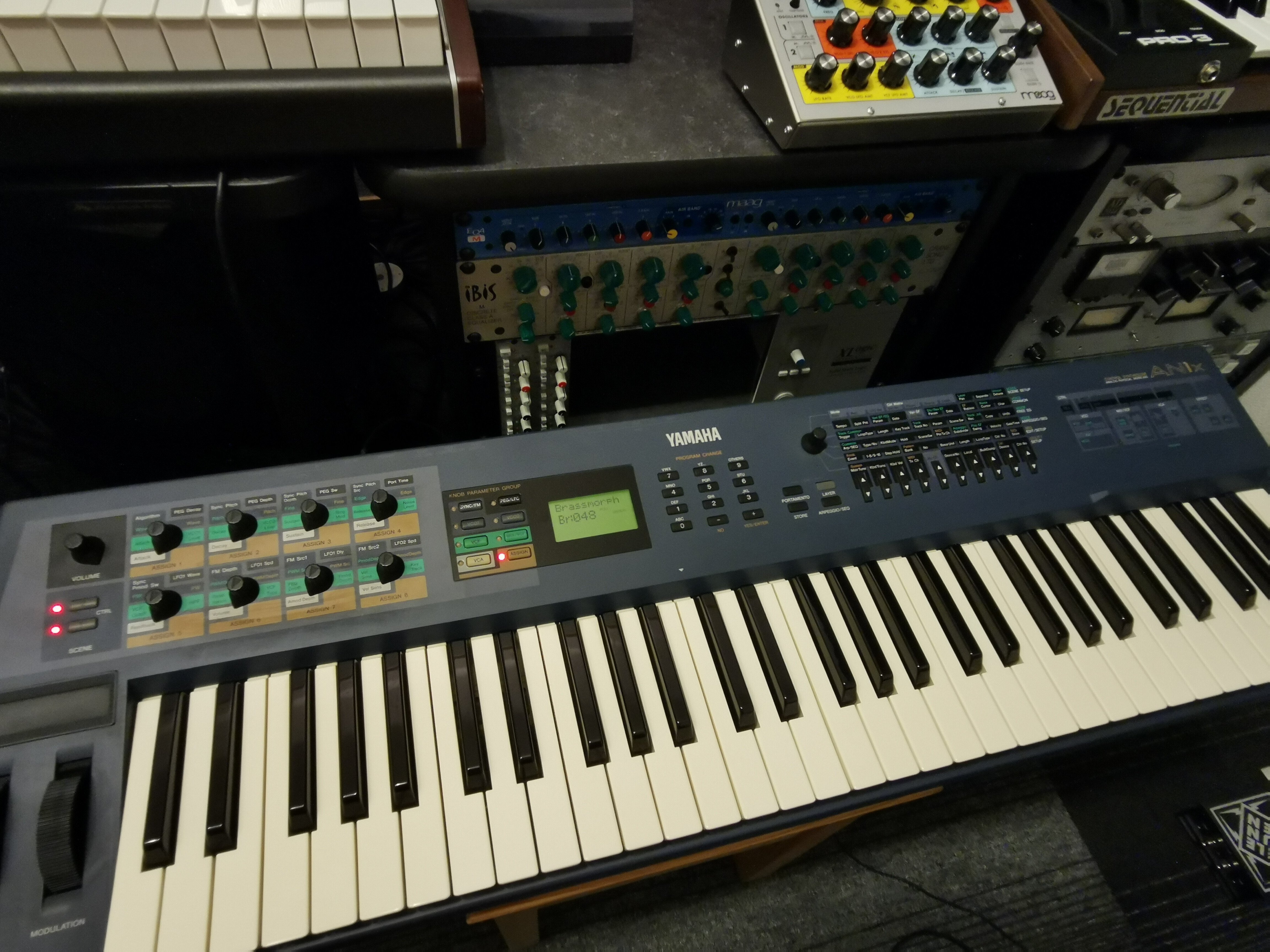 YAMAHA AN1x｜Rei Narita (成田玲)