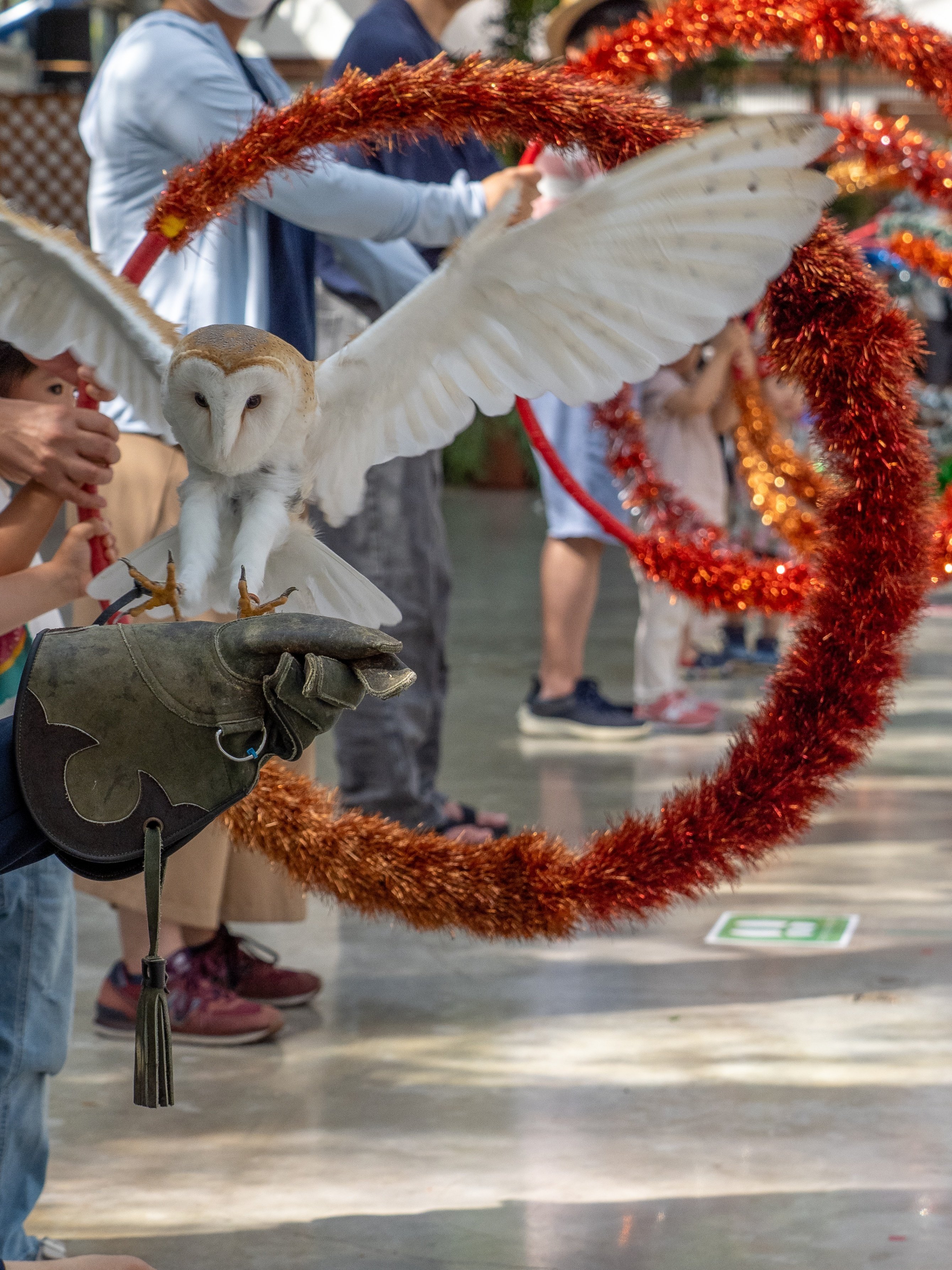 掛川花鳥園へGo！カワイイ生きものたちとの楽しいひととき｜Bun bun