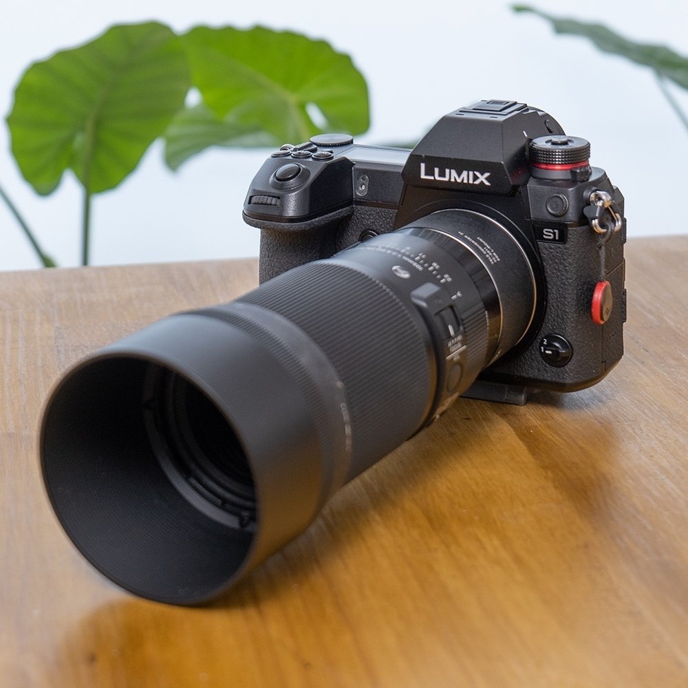 初めて知った。マクロ撮影の面白さと奥深さ｜I'm a graphic designer