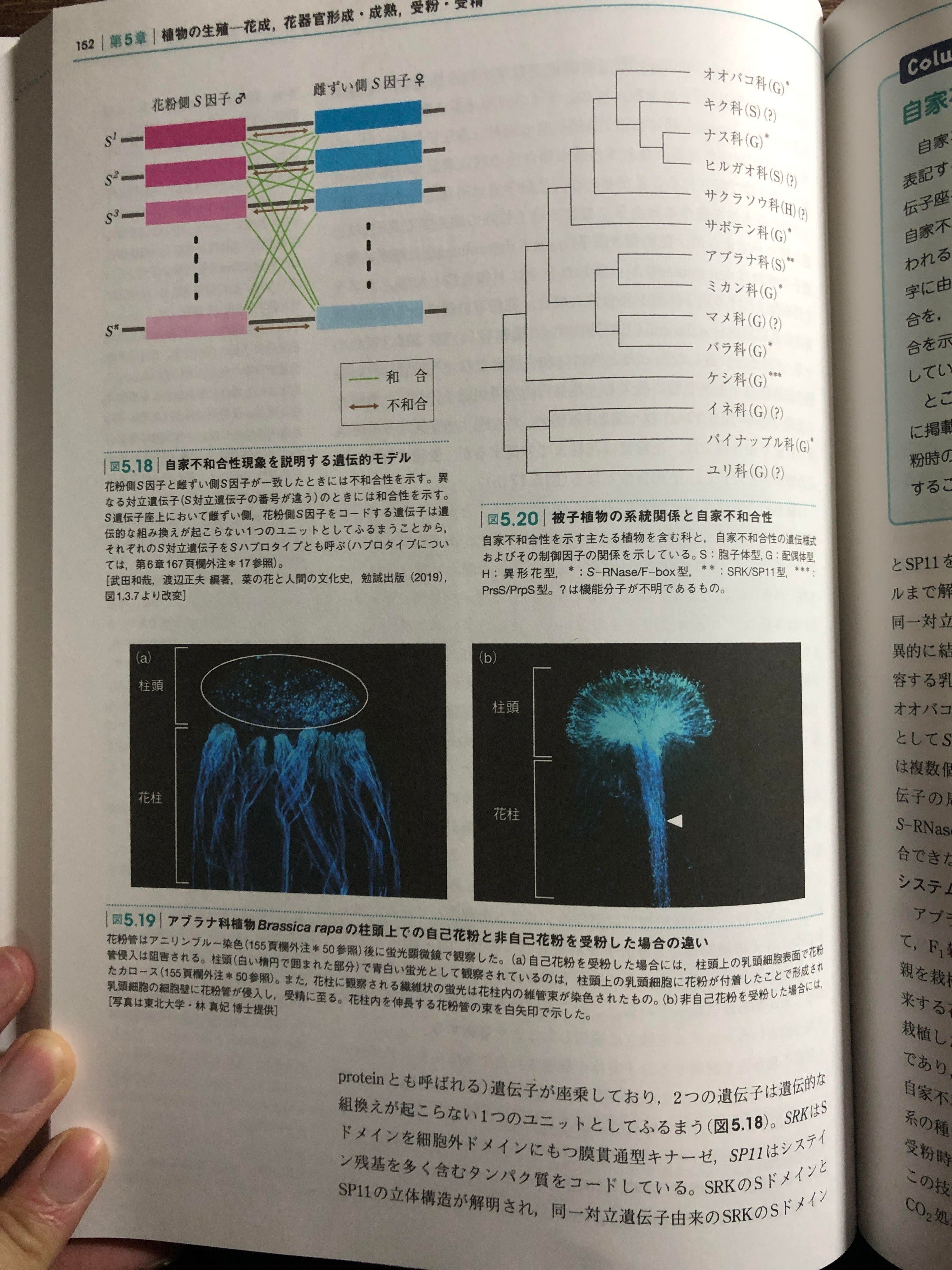 受験生物攻略のためのオススメ本（受験参考書以外）｜5浪離散阿修羅
