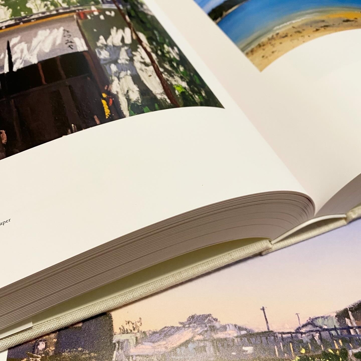 ☆318☆ うちで1番重たい本『坂口恭平 Pastel カタログレゾネ』｜から