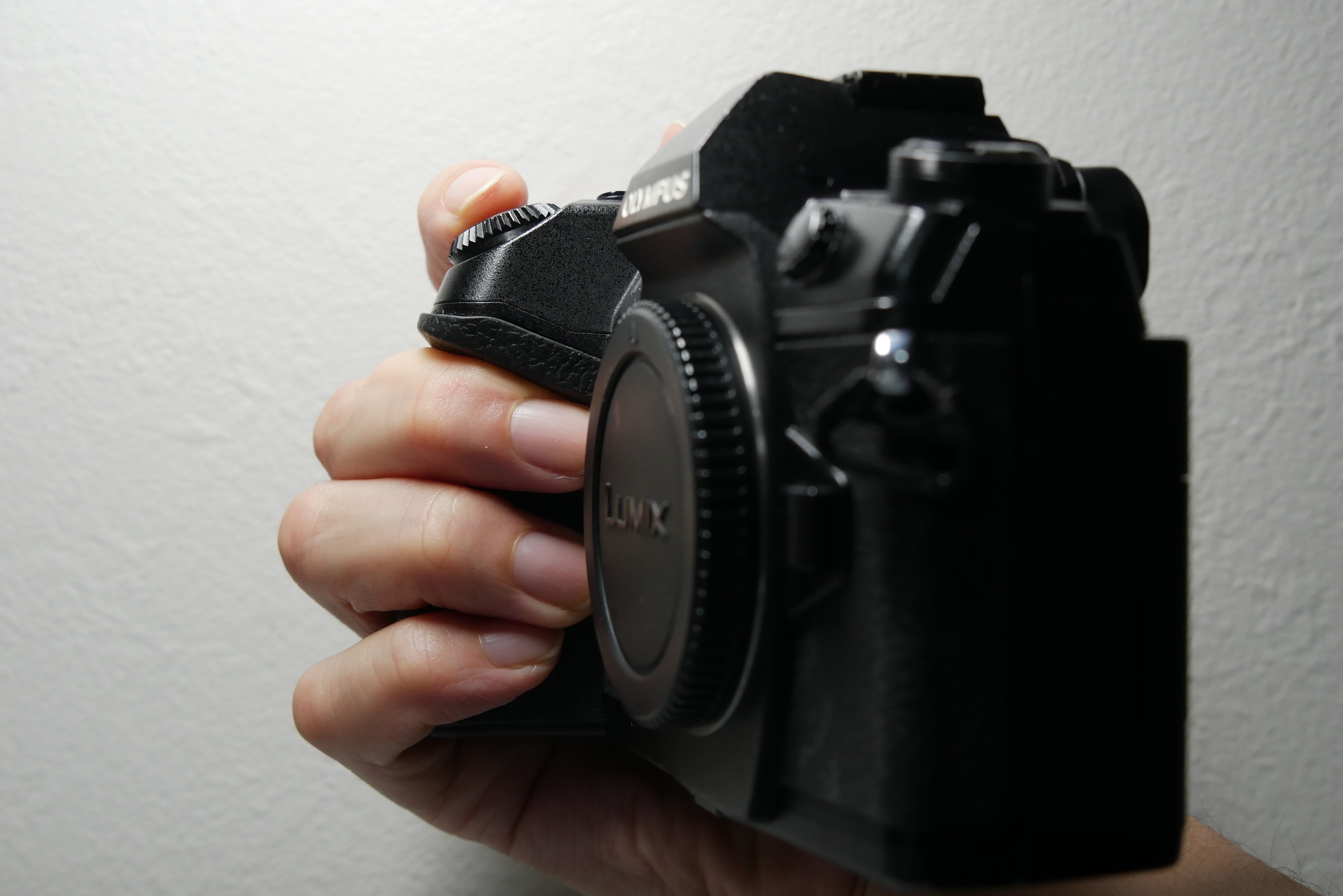 機材レビュー】OLYMPUS OM-D E-M1 mark II｜鷺