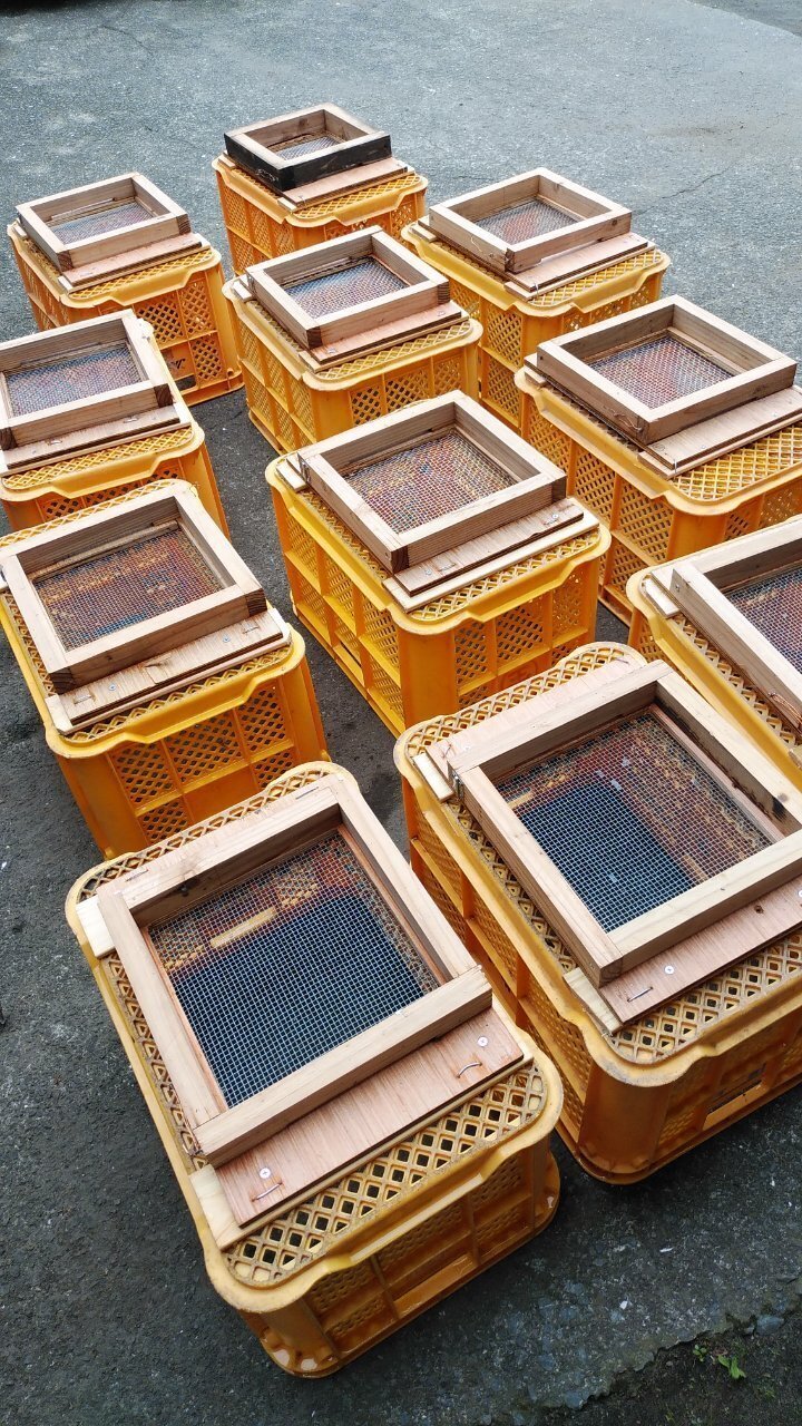 2024 ニホンミツバチ分蜂記② 巣箱の準備 ※写真は、重箱式巣箱の巣門