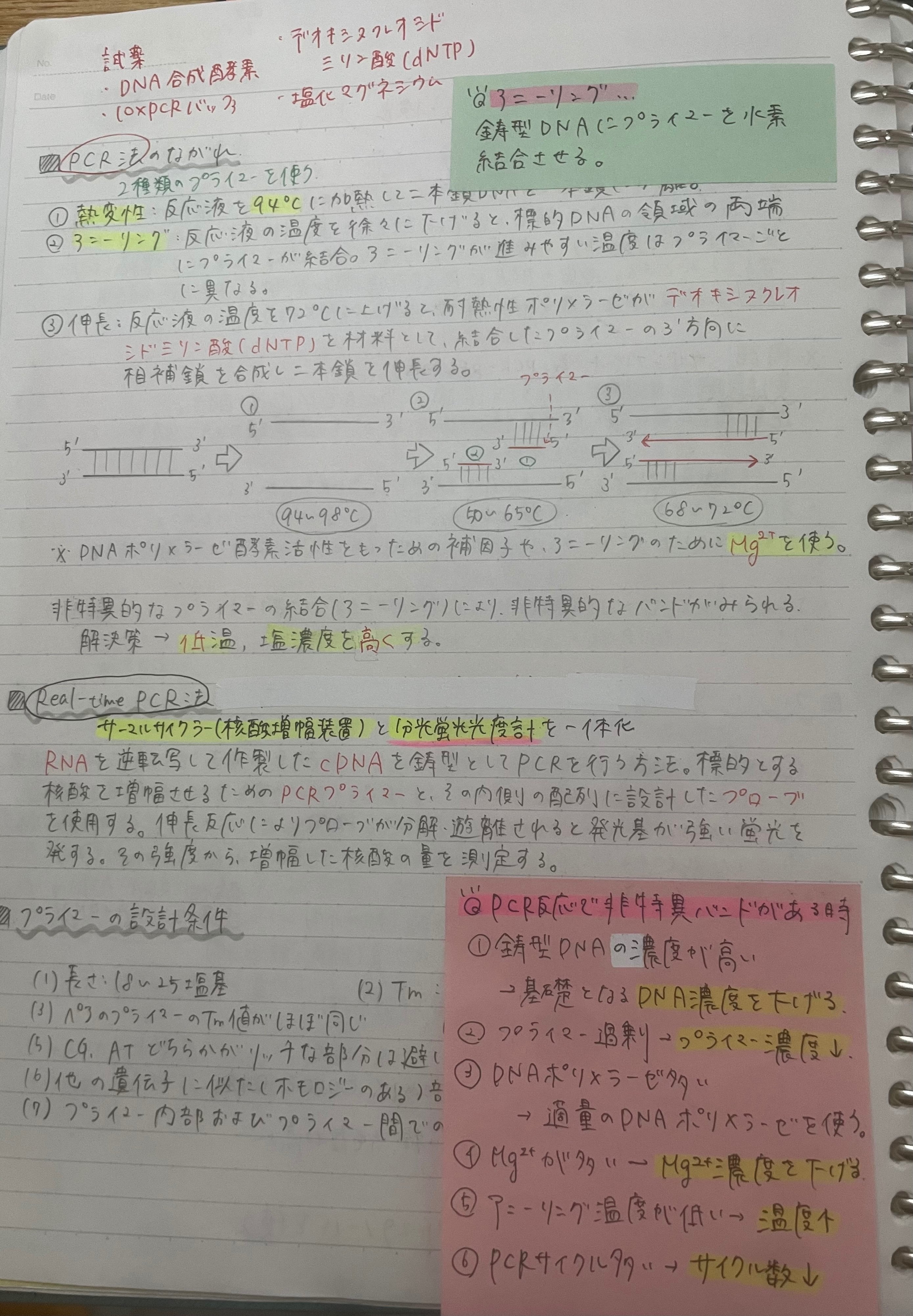 ✏️臨床検査技師国試対策スケジュール✏️｜ししゃも