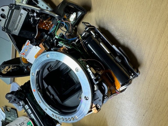 黒死病を克服したPENTAX K-30!｜きくりんぐ