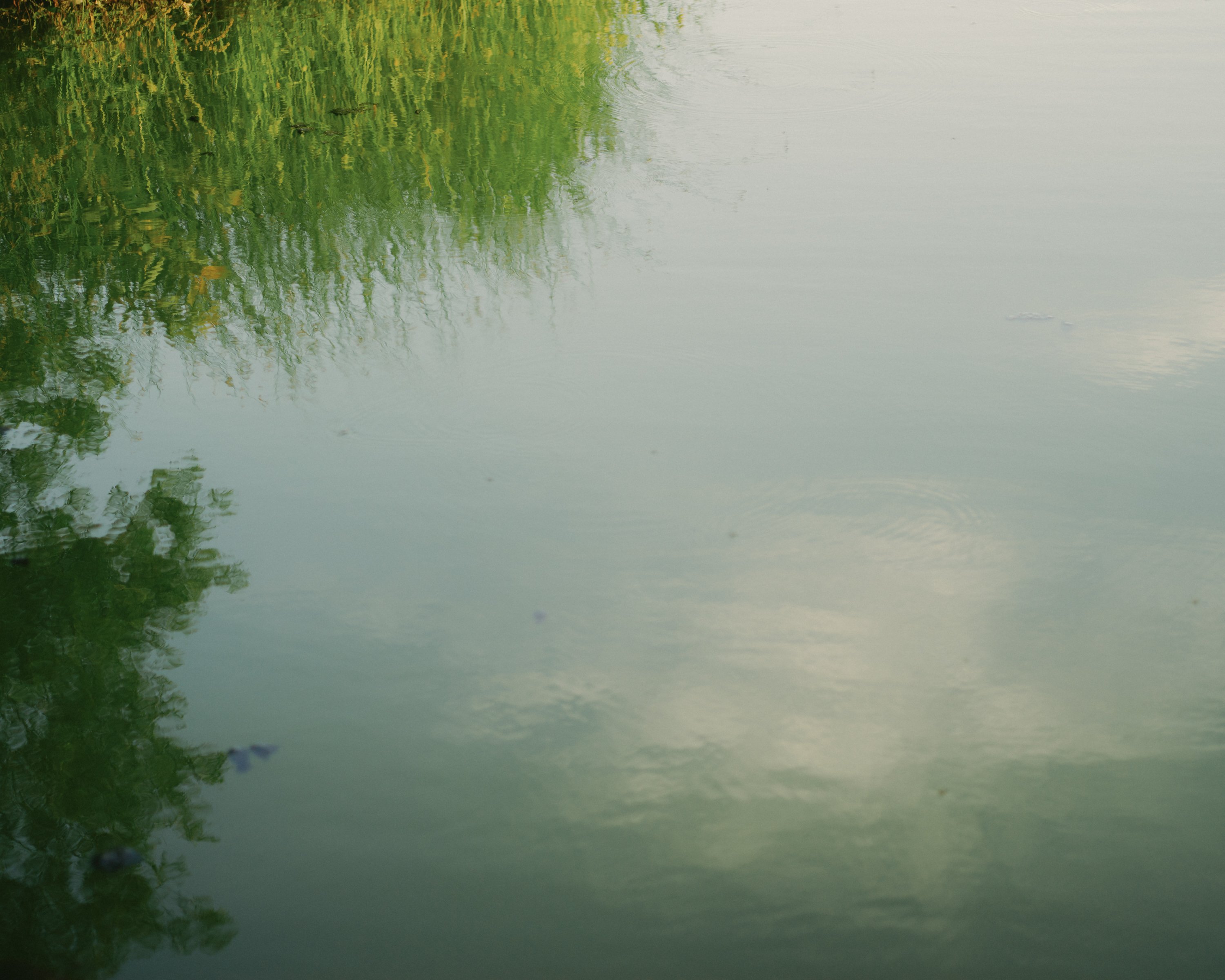 HASSELBLAD 中判フィルムをデジタルに｜Re:Tk