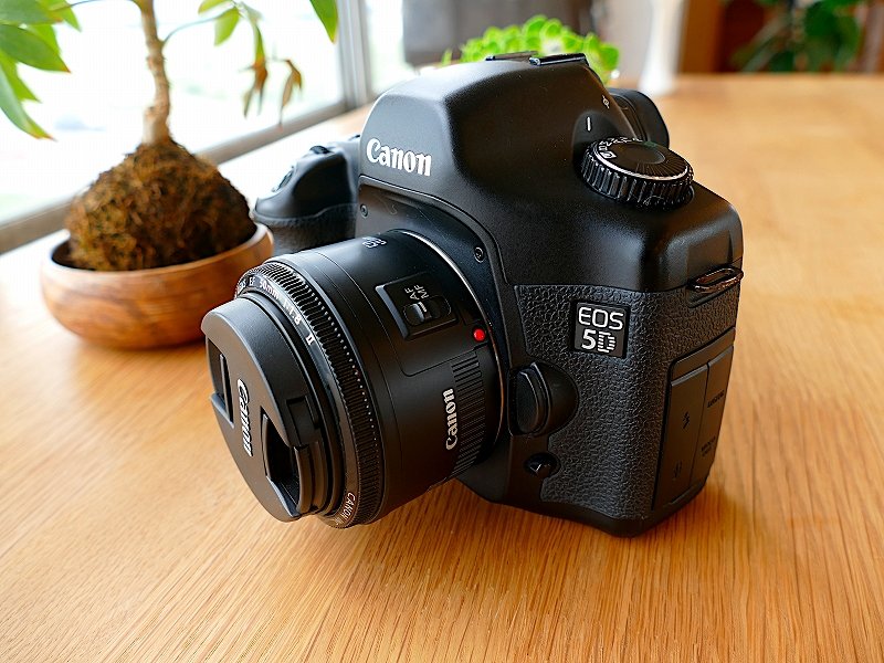 検討/購入/故障/修理】Canon 初代5D今さらレビュー！名機にまつわる