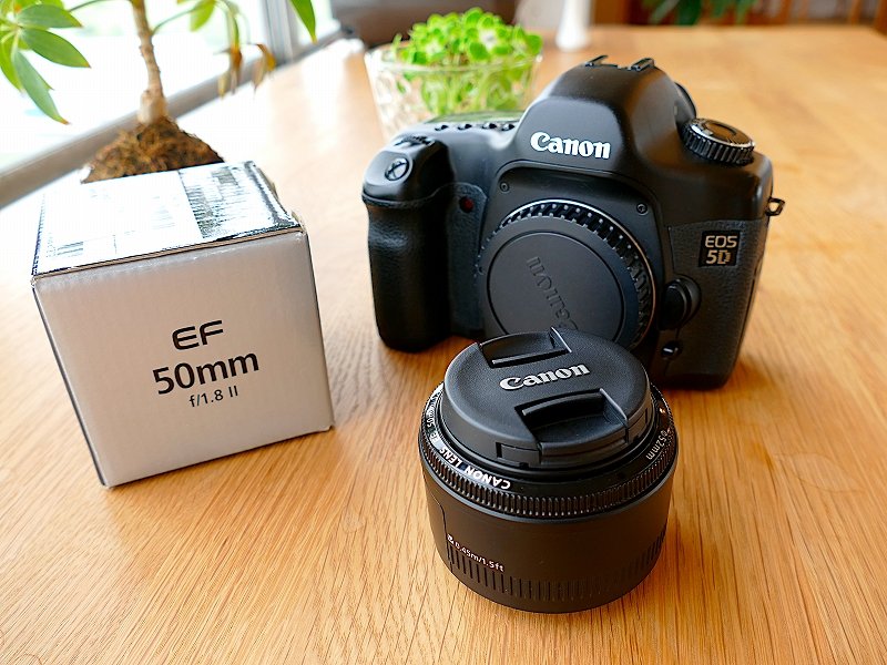 検討/購入/故障/修理】Canon 初代5D今さらレビュー！名機にまつわる